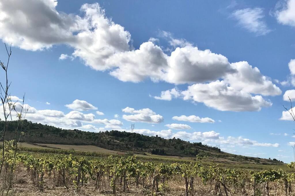 Appartement Le Jutini Caunes-Minervois المظهر الخارجي الصورة